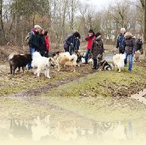 Spaziergang in Esting am 10. Maerz 2013